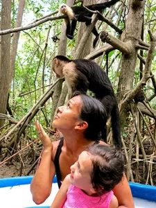 monkey tours jaco