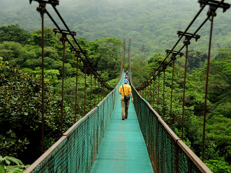 Monteverde Sky Walk Tour