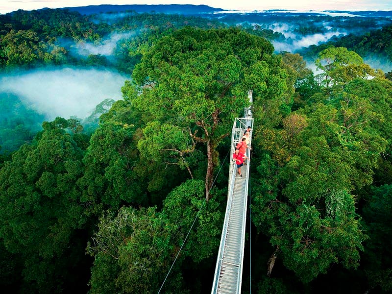 Hanging Bridges Monteverde