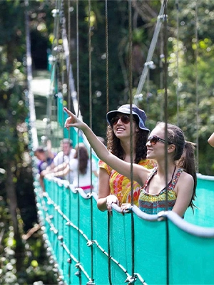 monteverde hanging bridges